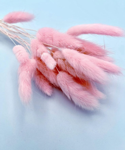 Pink Bunny Tail