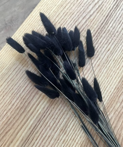 Black Bunny Tail