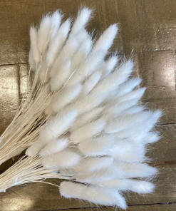 White Bunny Tail