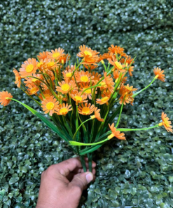 Imported Flower