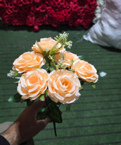 Imported Peach 7