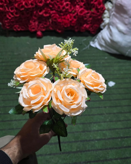 Imported Peach 7