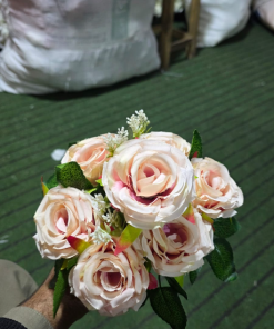 Peach 10 flowers