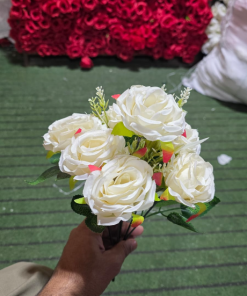 Imported White 10