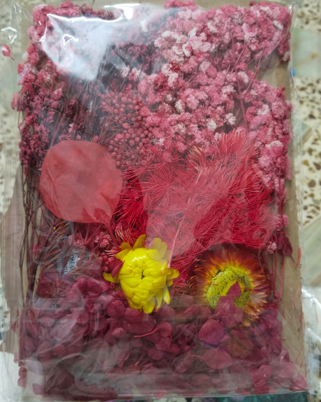 Dried Flowers