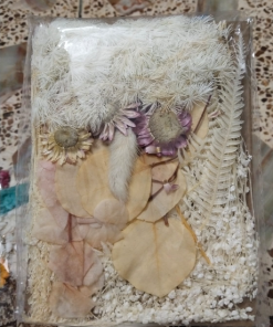 Dried Flowers #1