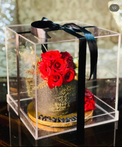 Acrylic Box